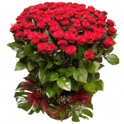 Доставка Роз по Еревану